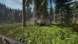Hunting Bison #2