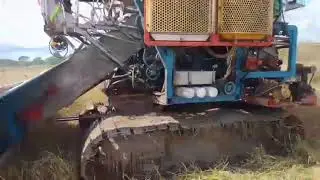 Esan77