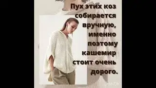 Король кашемира