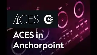How to enable ACES in Anchorpoint