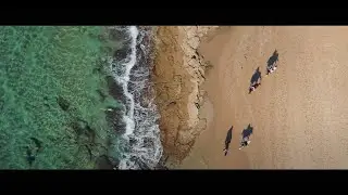 Bar Mitzvah Clip - Yoav Ikar
