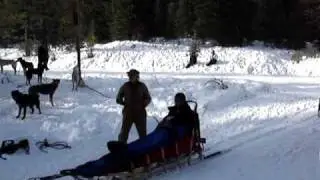 Nick and Hayden - Dogsledding - Loading up
