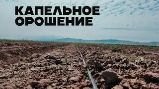 Капельное орошение