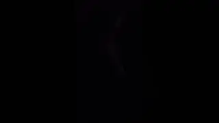 28 ноября 2023 г.