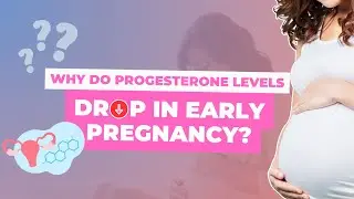 Why do progesterone levels drop in early pregnancy
