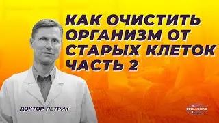 Как очистить организм от старых клеток. Часть 2