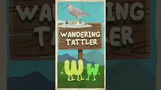Bird Alphabet for Kids - Birds that Start with W