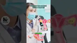 Causes of Bleeding After Menstruation 