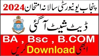 PU Date Sheet of  B.COM 2024 Exams | Punjab University 2024 Exams Date Sheet