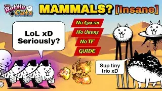 How to Beat Crazed Lizard | 5 slots; No Gacha (Battle Cats)