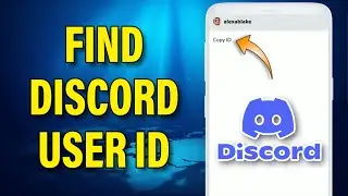 How To Find Discord User ID | Copy Discord Link 2023 | Discord ID 