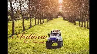 Antônio na Floresta