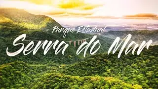 Parque Estadual da Serra do Mar. (Núcleo Pilões)