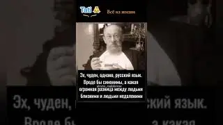 Про жизнь.Нет котов и собак,но есть Собачье сердце!