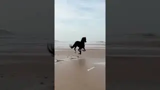 Можно лайков пожалуйста 🙃🙃