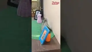 diperkosa dirumah saat suami pergi 