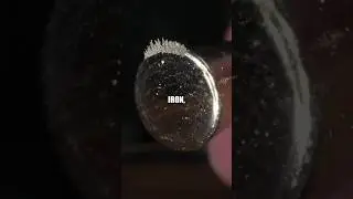 This is in your food!