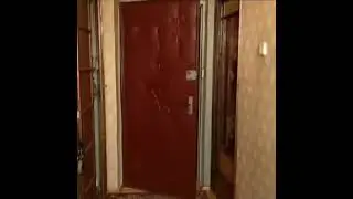 #shortsvideo