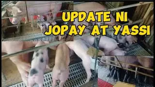 UPDATE NG MGA INAHIN NAMING SI JOPAY AT YASSI