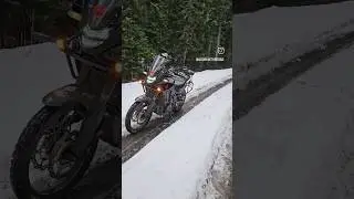 The Honda Transalp 750 is Such a Pavement Princess Poseur Bike 