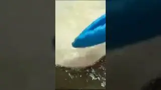Лепешка на воде