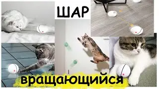 алиэкспресс посылка игрушка для кошек или собак автоматический вращающийся шар
