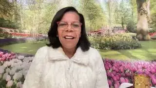 QUEBRE OS PADRÕES DE REPETIÇÃO: DÊ UM GRITO DE INDEPENDÊNCIA - ROSANA FONSECA