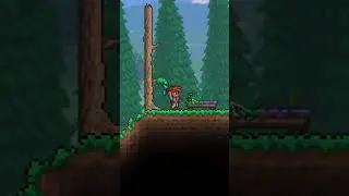 Ha vuelto el Terraria, en pc del gobierno #terraria #terrariatutorial #pc