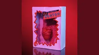SEXTOY