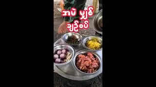 အမဲမျှစ်ချဉ်စပ် I Spicy Beef with bamboo shoot I Survival Jungle Cooking Of A PDF
