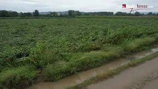 Hoje o Baixo Mondego acordou assim: Deitado!