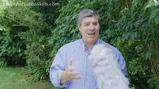How to stop wind noise when videoing outside