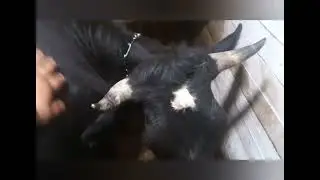 Жизнь не кино, сценарий не напишешь ❤️🙏👍😉