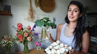 Not So Good News, Weekend Updates & a New Garden Experiment