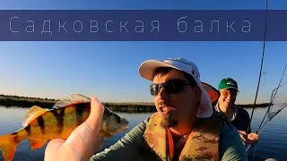 Рыбалка в Садковской балке. Окунь просто заклевал нас.