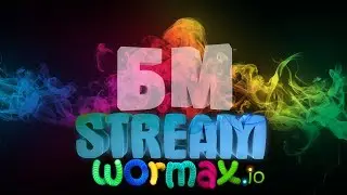 Stream Wormax.io - Приватное пати на ночь.. Согреемся..? ^^