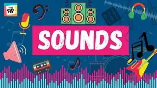 SOUNDS | SCIENCE | The Study Pod