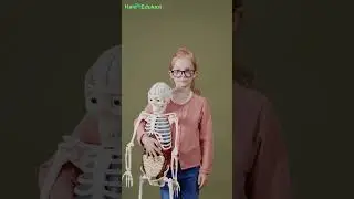Lakukan Ini agar Otak kanan Jadi Lebih Kreatif