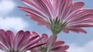 soft music
