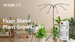 Floor Stand Plant Grow Light – Indoor Plants Growing | Switch Modes | Dimmable Brightness | Timer
