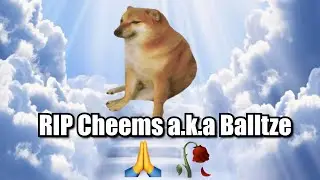 RIP Cheems aka Balltze 🥀...