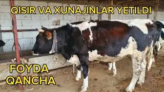 SOTISHGA TAYYOR BO'LDI