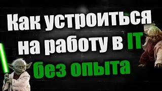Как устроиться на работу в IT без опыта