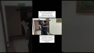 Экс-военнослужащего, изнасиловавшего женщину на улице Тимирязева в Оренбурге 