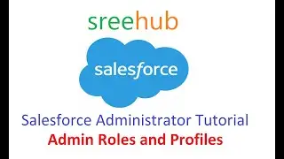 12 Salesforce Administration - Admin Roles and Profiles