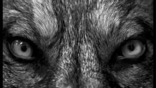 Out Now! The Raven & the Wolf: Blood Oath