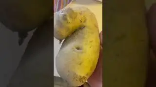 Готовлю 3 блюда с ОДНОЙ курицы Блюдо #1
