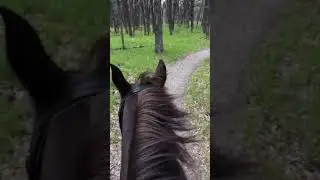 North Dakota ride (a little windy)