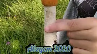 Как мы провели свой выходной!!!