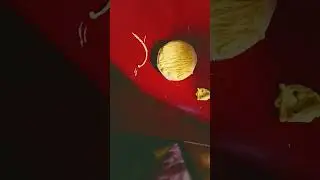 смайлик🙂
